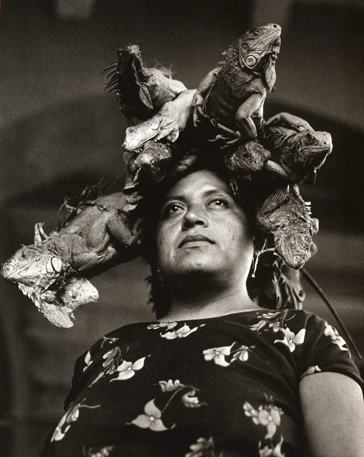 Se&ntilde;ora de las Iguanas. Juchit&aacute;n, M&eacute;xico, 1979