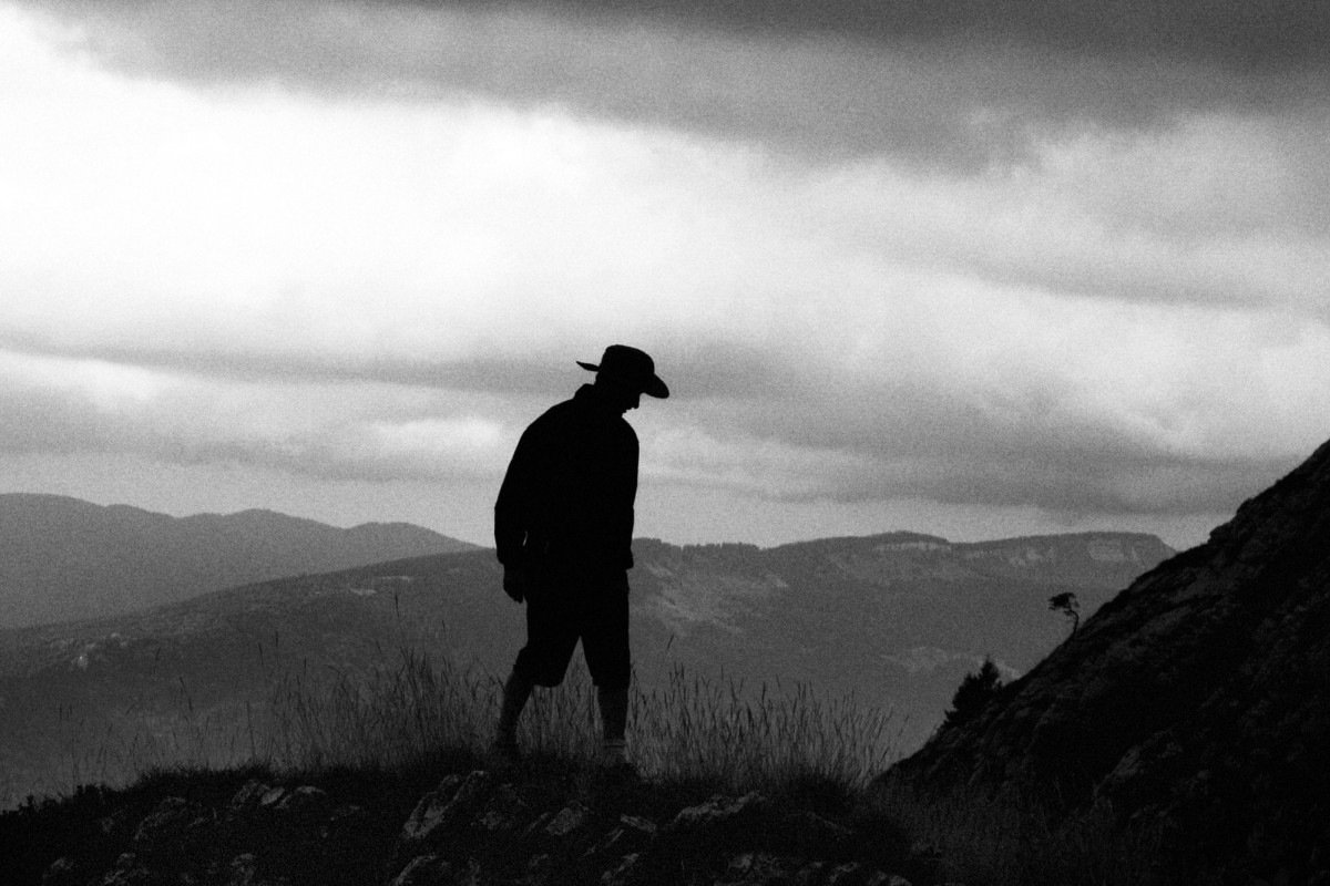 Into the wild © niko rodamel