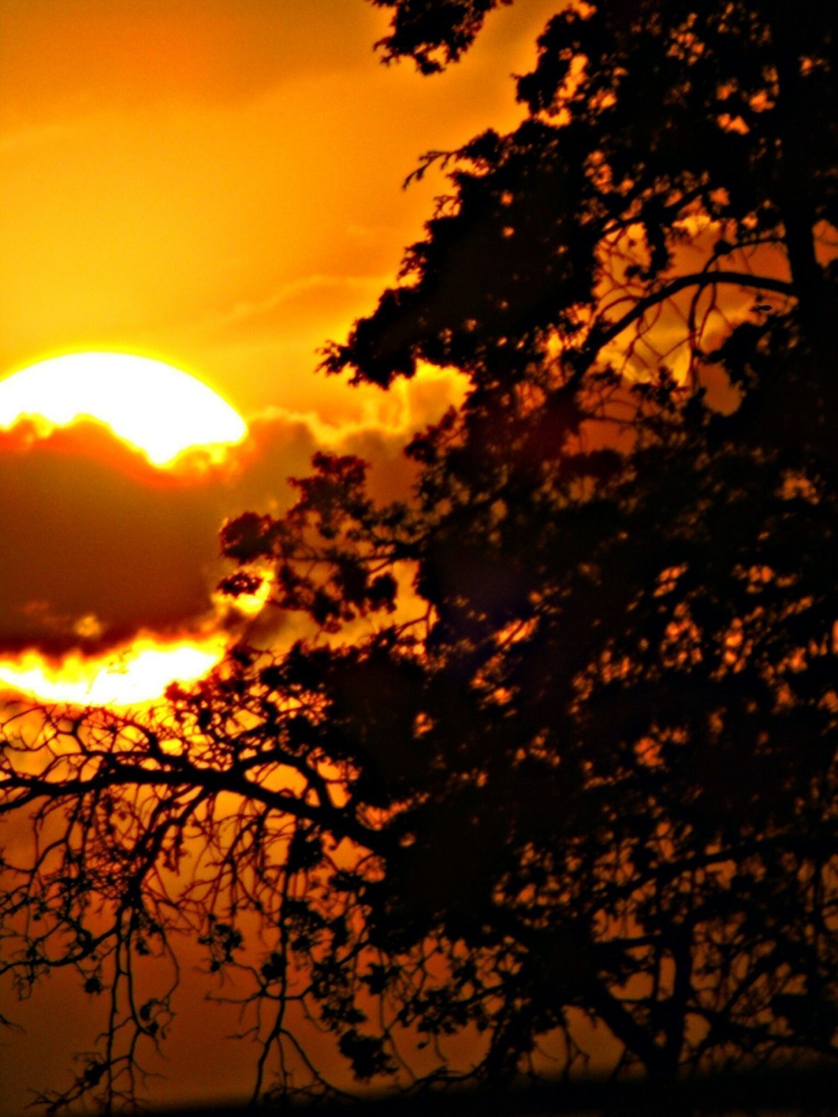 Atardecer
