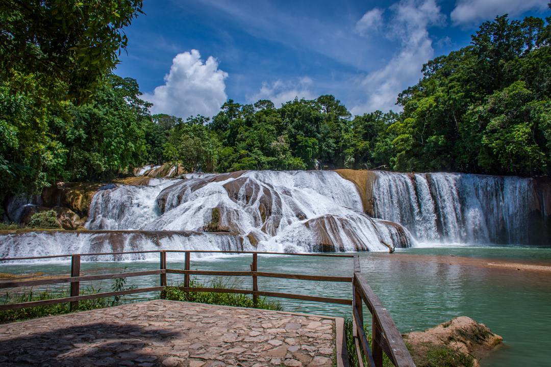 Cascadas de Agua Azul