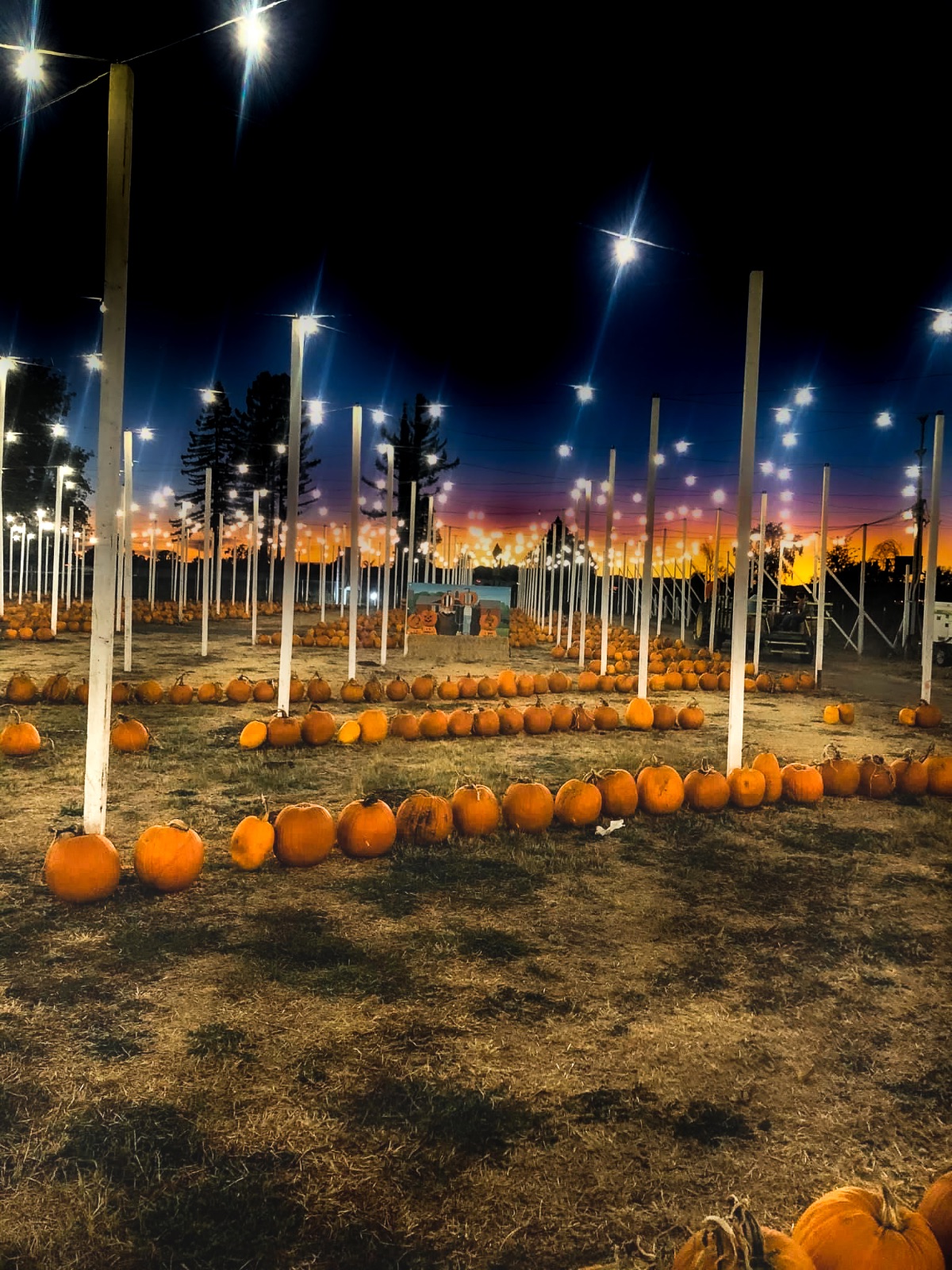 Halloween en California 