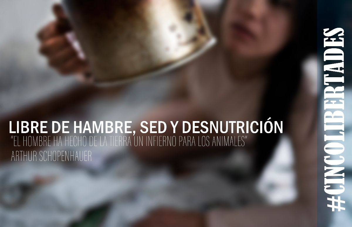 #CINCOLIBERTADES del bienestar animal / Libre de hambre, sed y desnutrición 