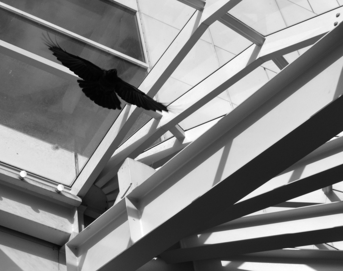 El contraste natural