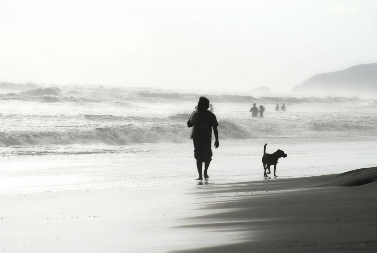 El Hombre y su Perro