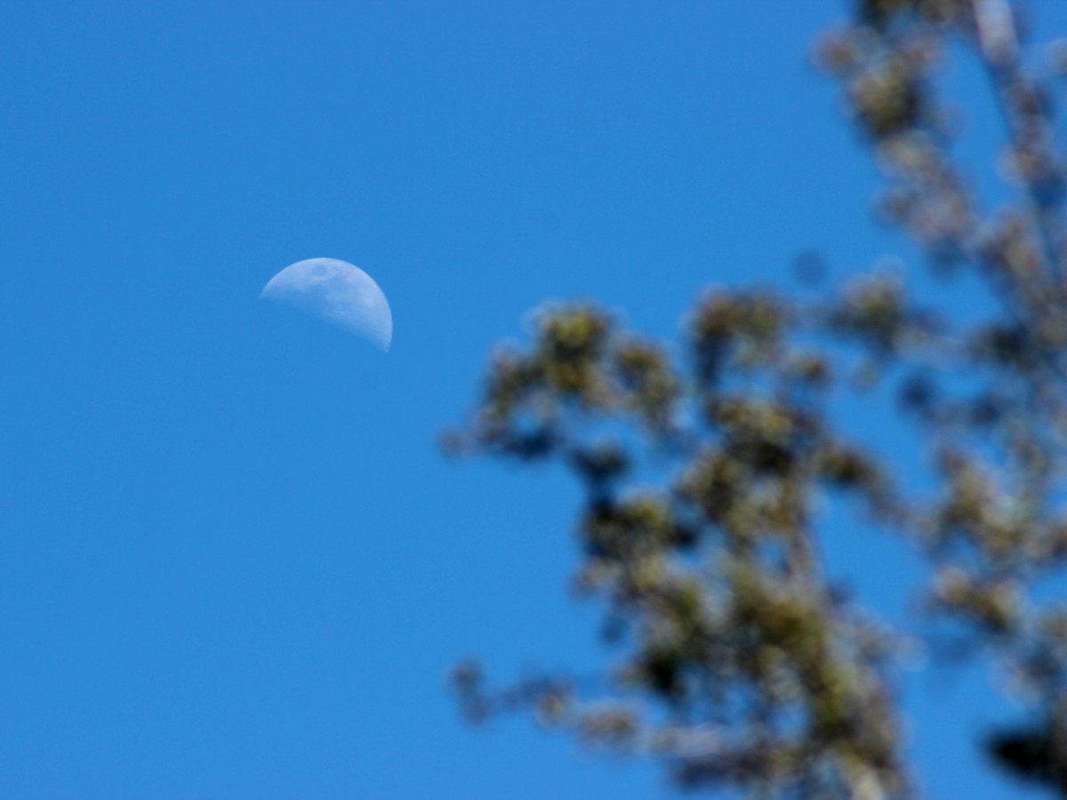 En silencio la Luna me habla a plena luz del día