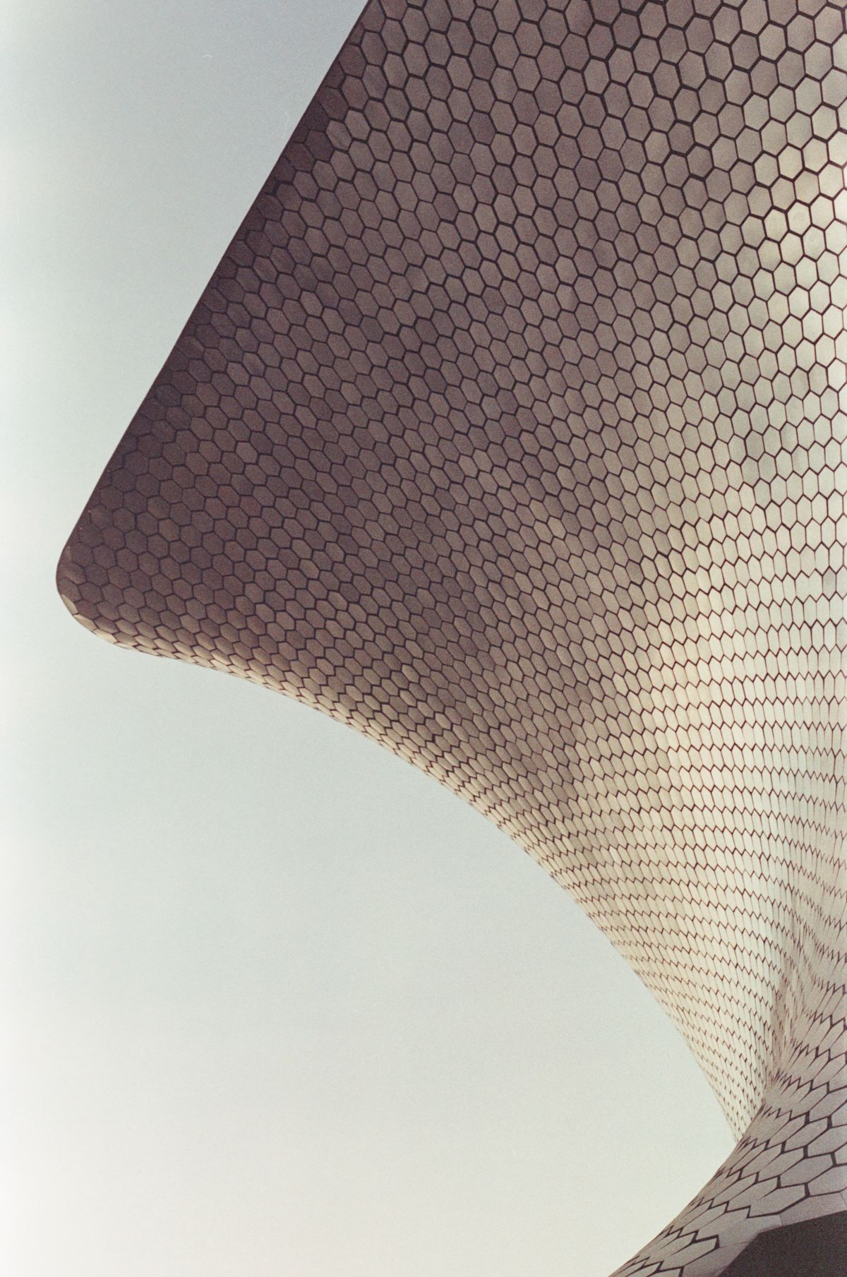 Soumaya