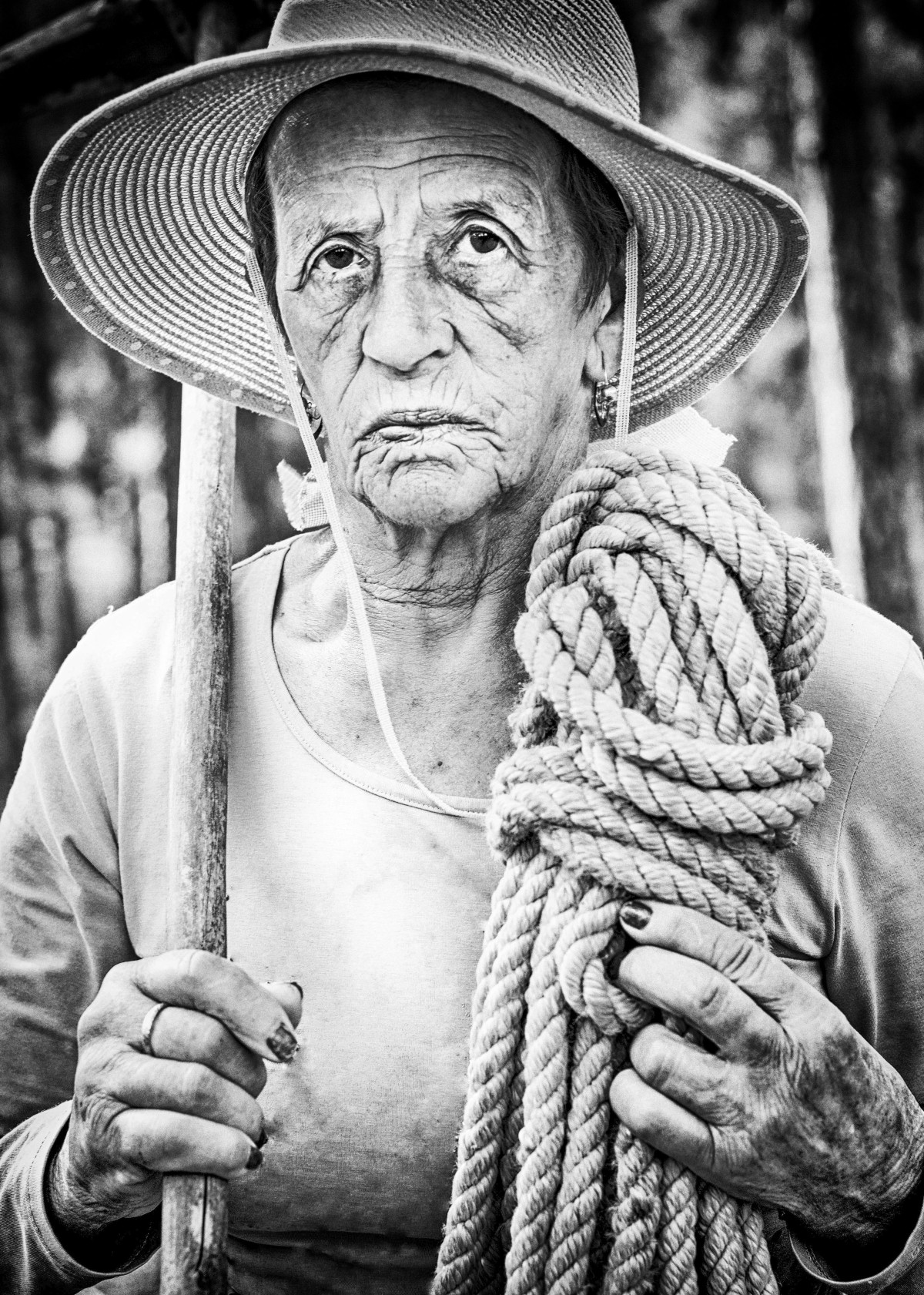 LA PINOCHERA