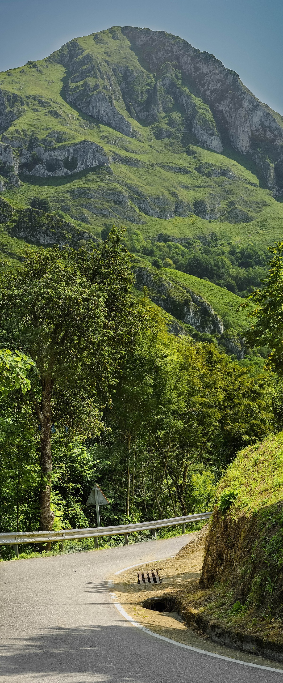 Parque Natural de Ponga.