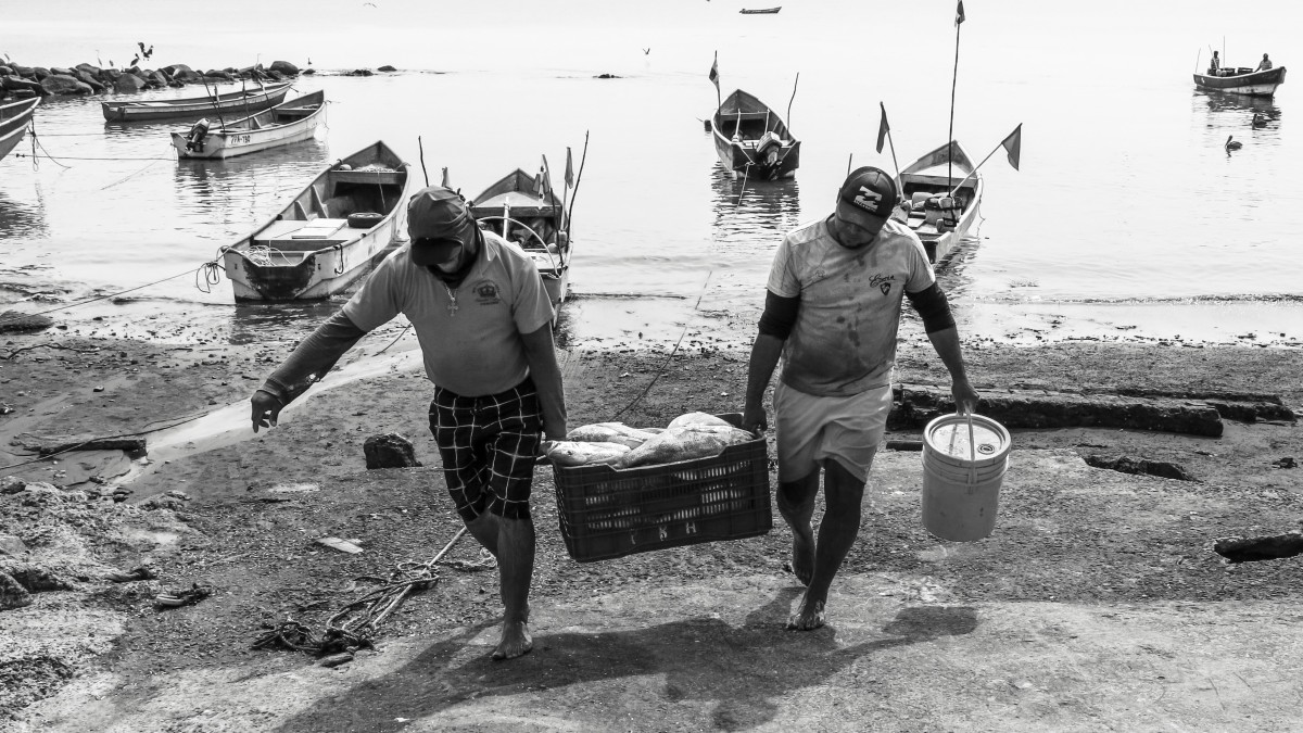 Los compadres en el desembarque