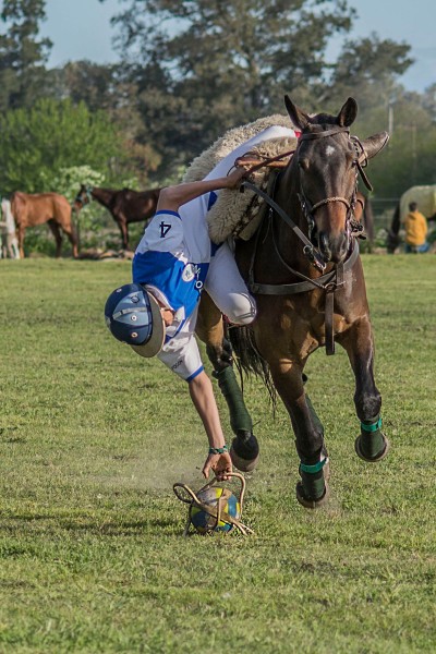 Pato, deporte Nacional Argentino