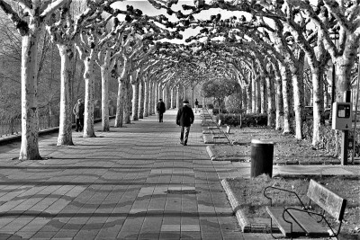 Tarde fría de otoño