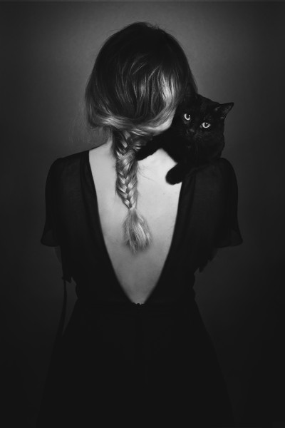 The black Cat