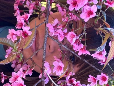 Wife, cherry blossom prison (桜の牢獄), Japan