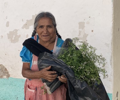 Vendedora de cilantro