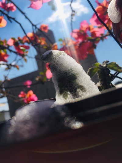 83016bc9-62fb-44e5-9f4b-5649a1329abb