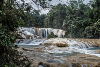 Cascadas de Agua Azul