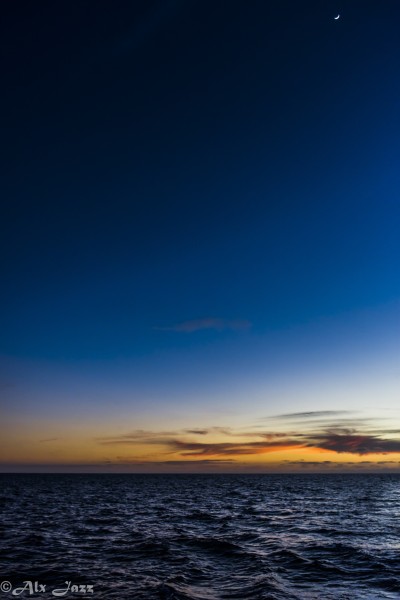 Caught in the night | Cabo San Lucas, Baja California Sur, Méx.