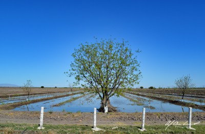 en solitario 