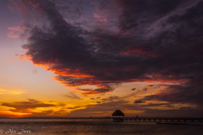 God's Paintbrush | Isla Holbox, Quintana Roo, Méx.