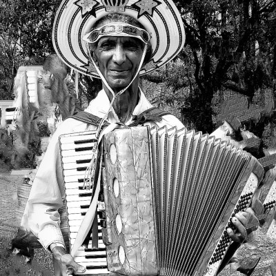 Folia de reis o violonista 