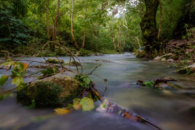 Río Escanela