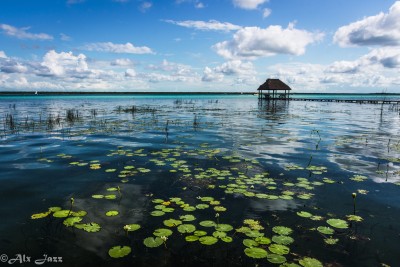 La Laguna de los 7 Colores | Laguna de Bacalar, Quintana Roo, Méx. .