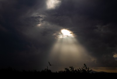 Oscuridad en la luz