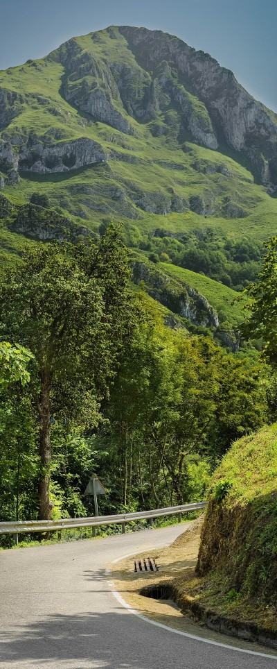 Parque Natural de Ponga.