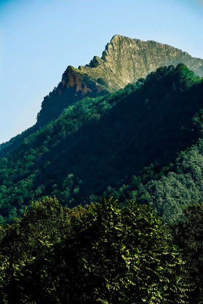 Parque Natural de Ponga.