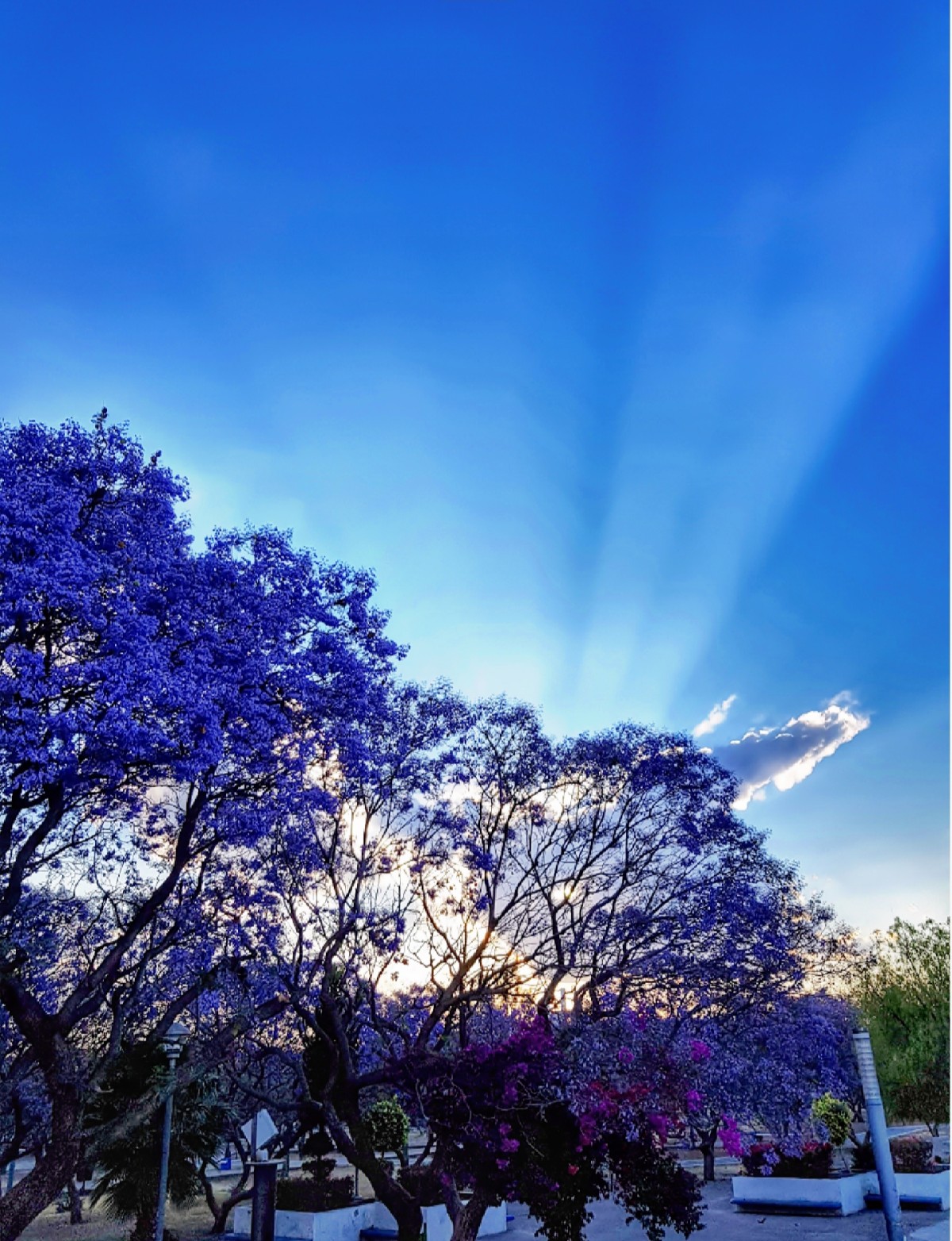 PRIMER ATARDECER DE PRIMAVERA 2019