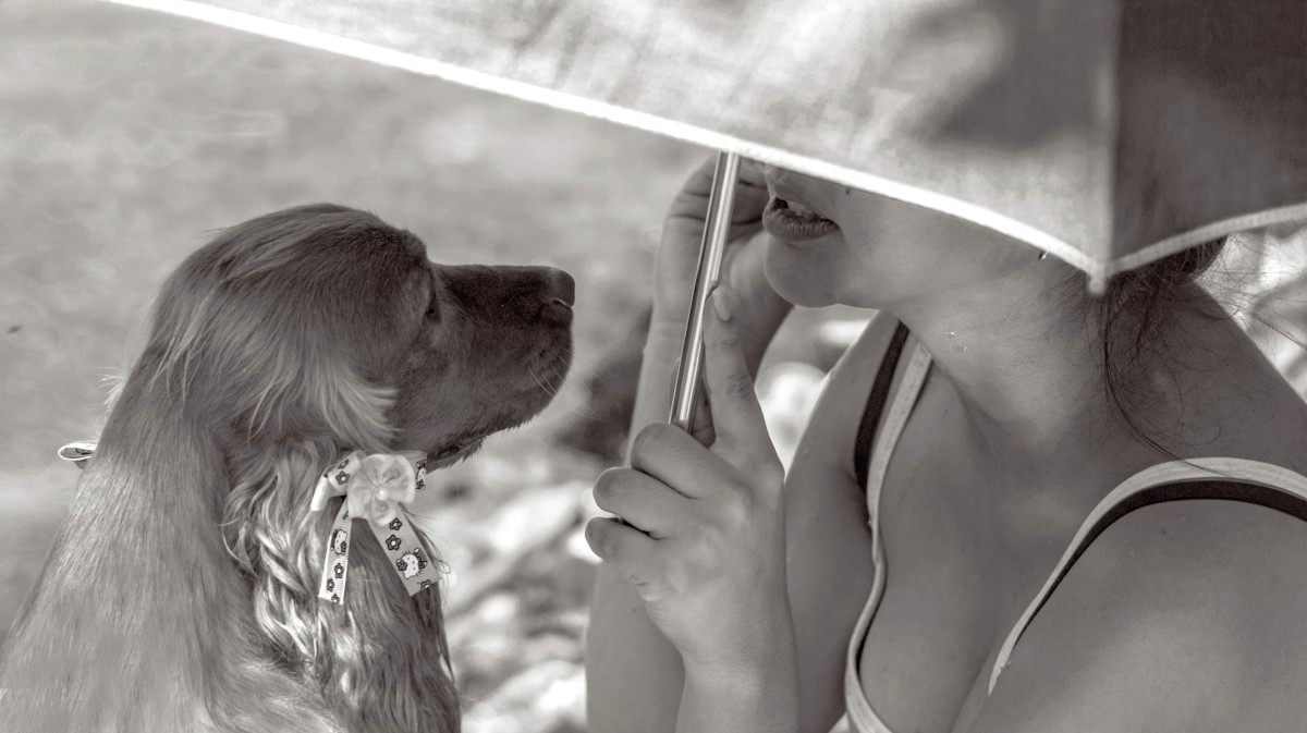 Received_2285959768287191