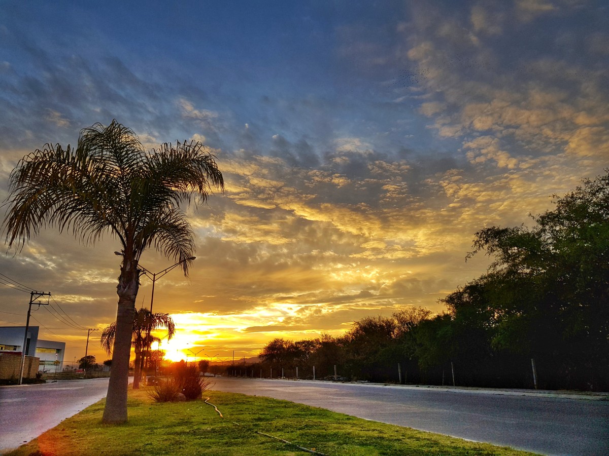 ROJO ATARDECER 